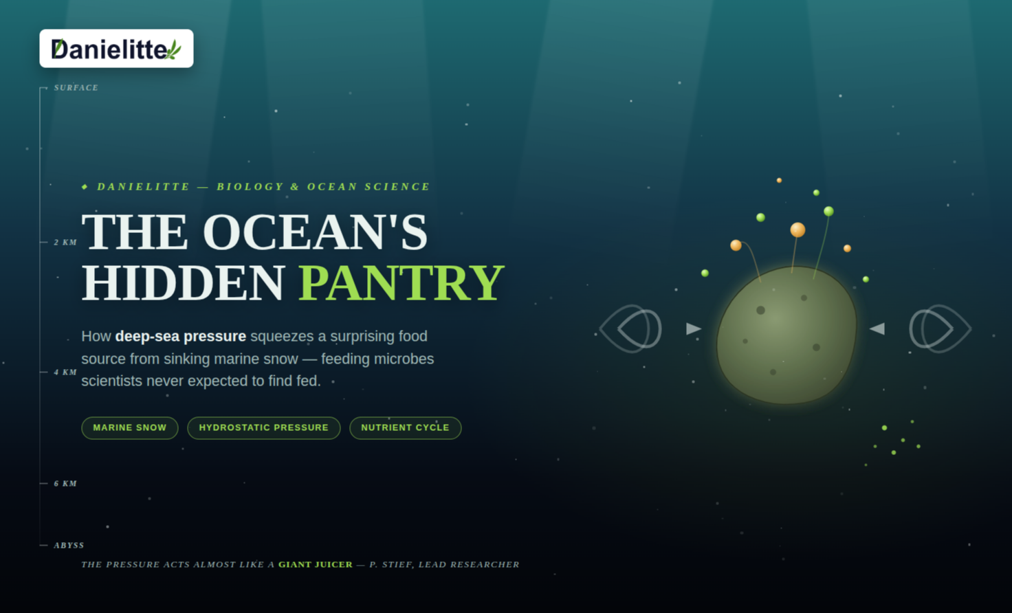 The Ocean's Hidden Pantry: Deep-Sea Pressure Creates a Surprising Food Source